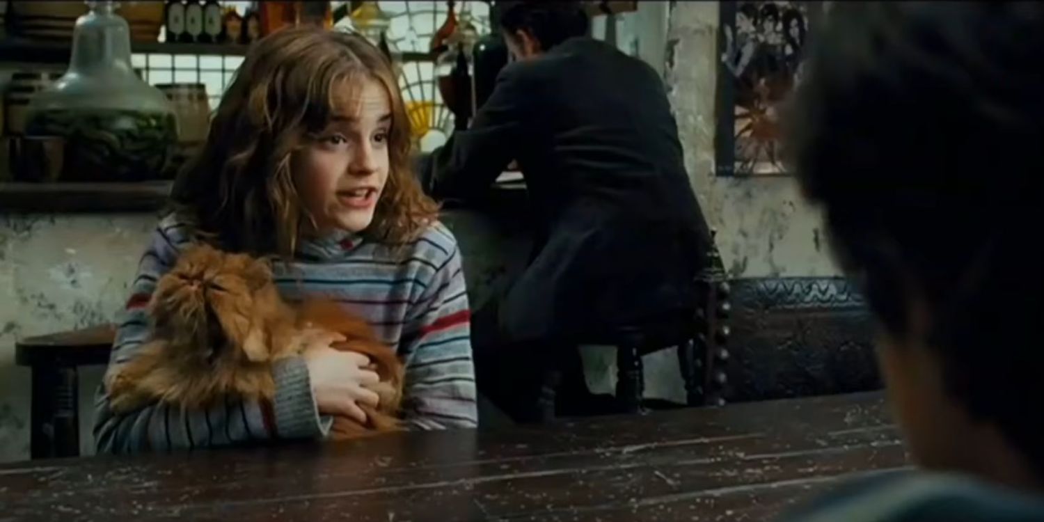 Best Pets In Harry Potter