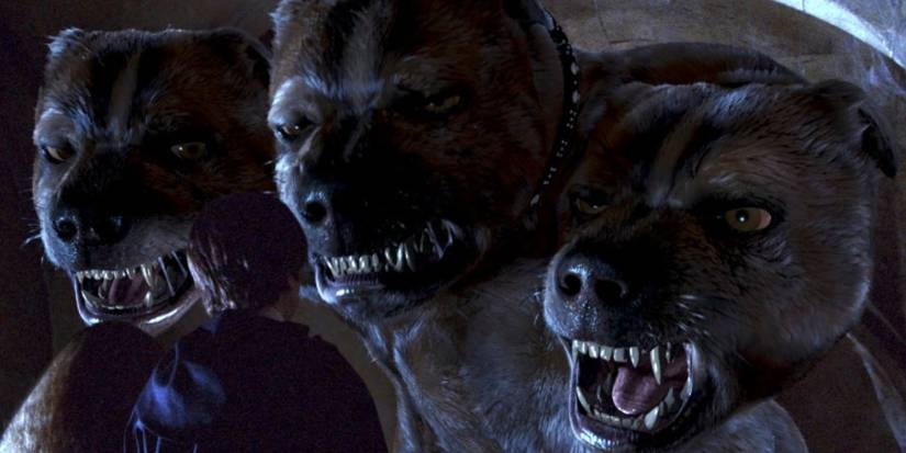 An Image of Fluffy the three-headed dog in Harry Potter