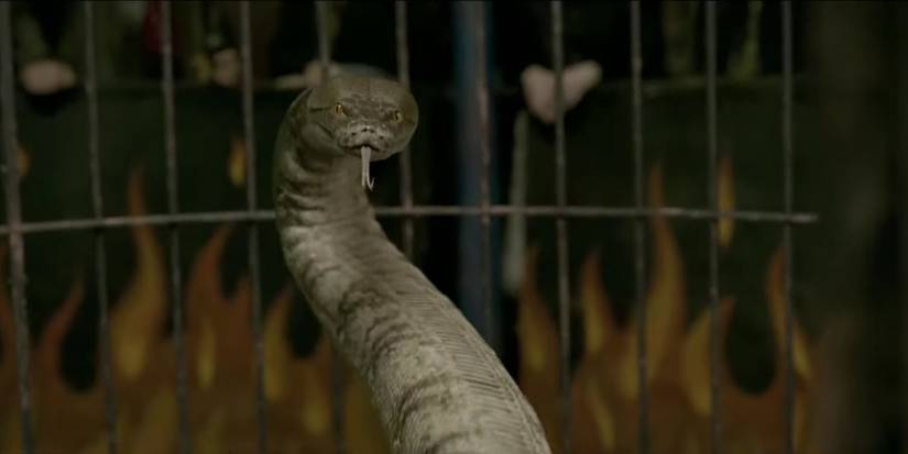 An Image of Harry Potter: Nagini