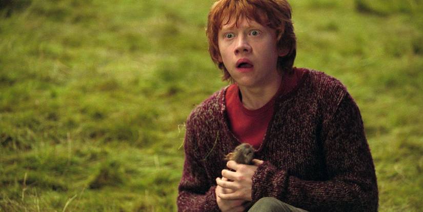 An Image of Harry Potter: Scabbers