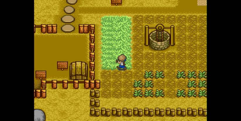 Harvest Moon Gameplay