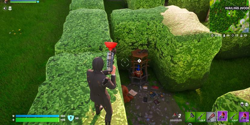 hidden gnome at wailing woods