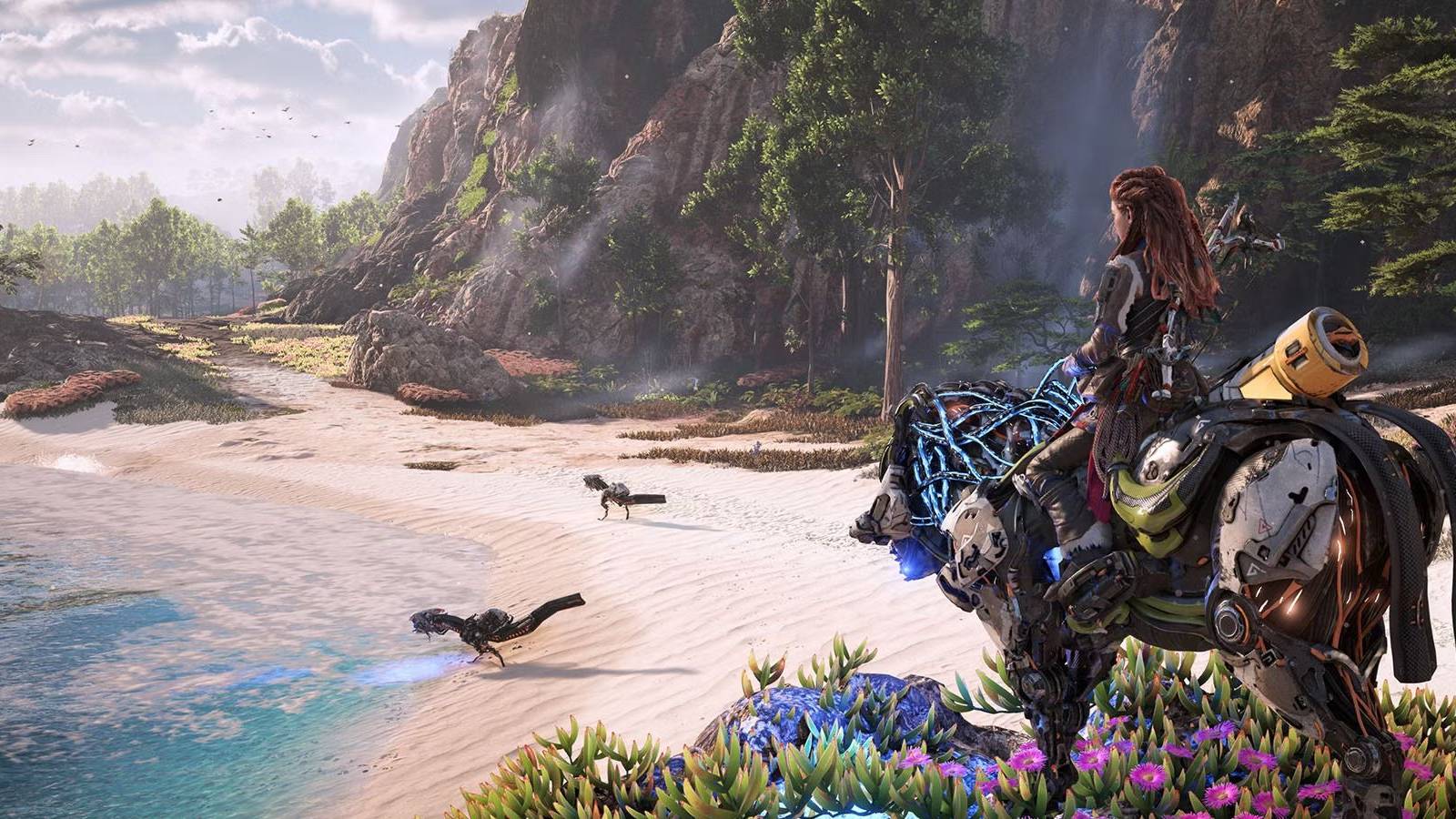 horizon aloy overlooking beach