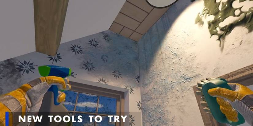 house flipper 2 spray cleaner