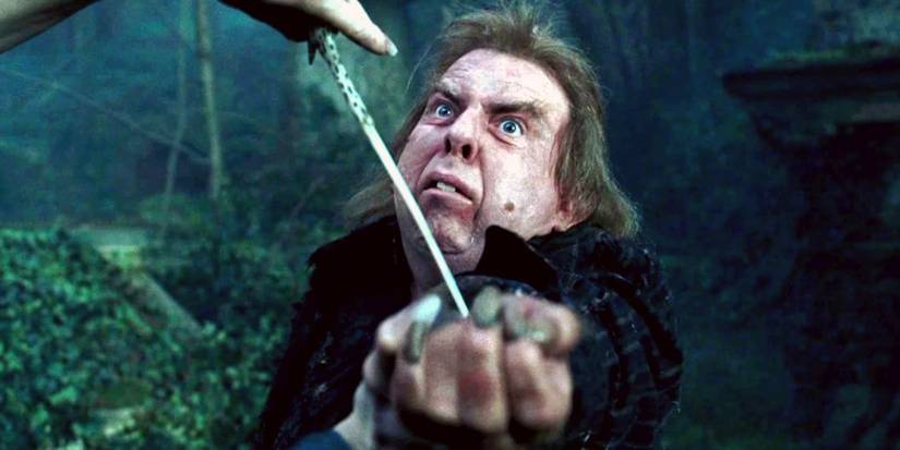 Wizard Peter Laziest Characters In Harry Potter