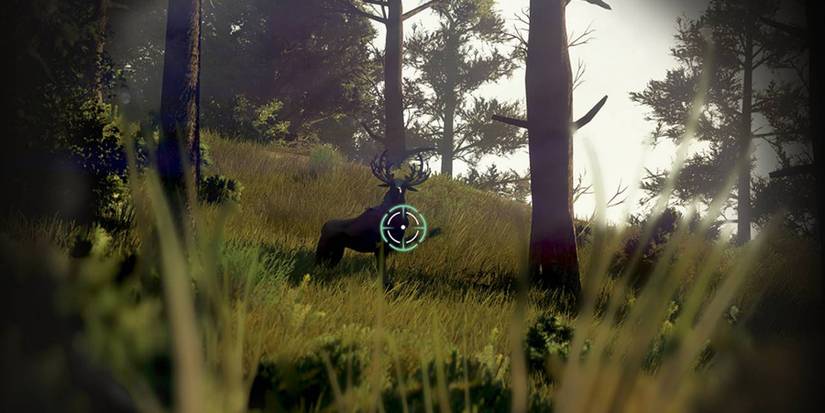 Hunting in Black Desert Online