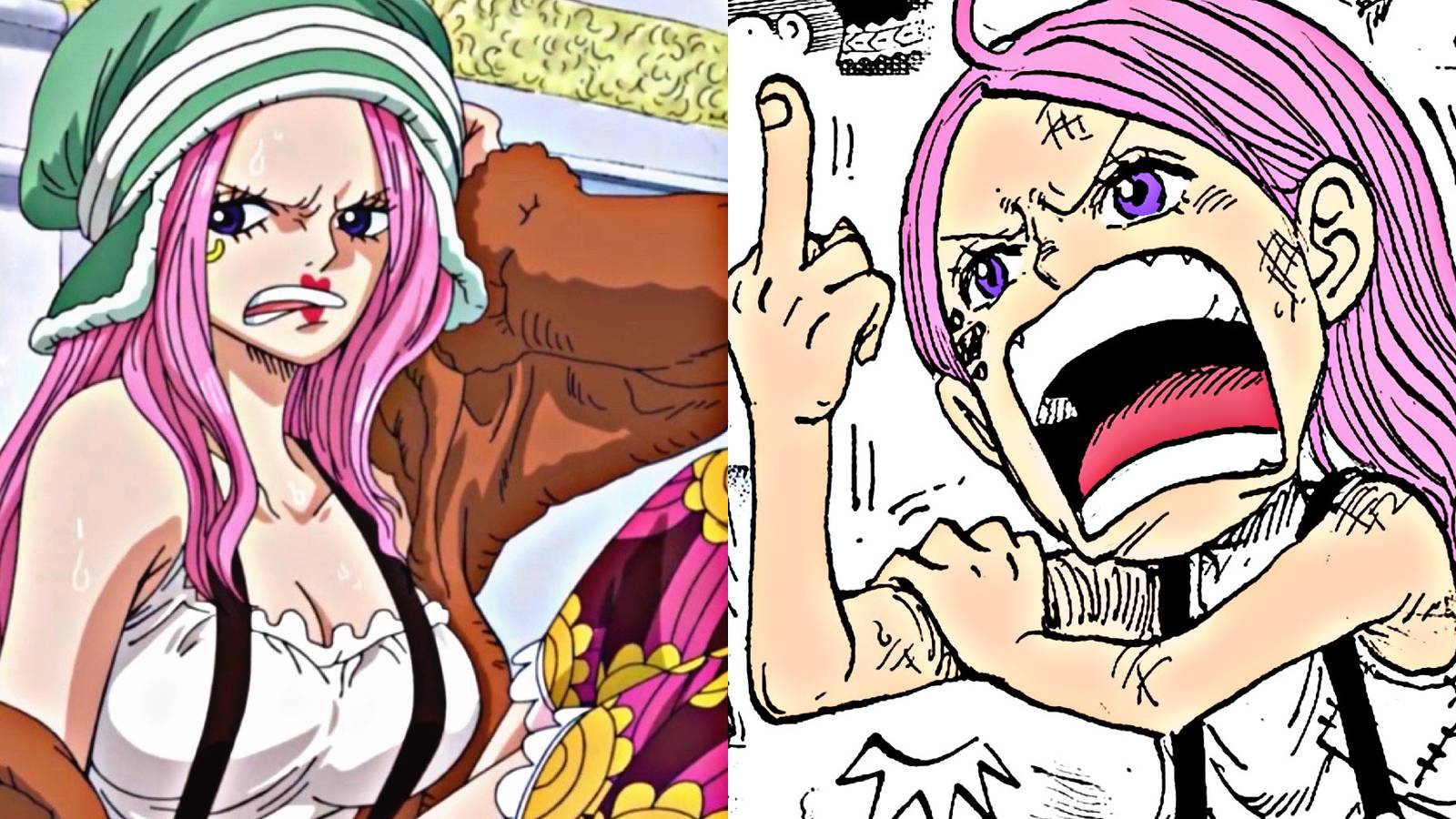 Jewelry bonney name explained one piece