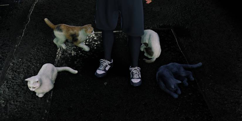 Katsuwo and his cats in Like a Dragon Gaiden The Man Who Erased His Name