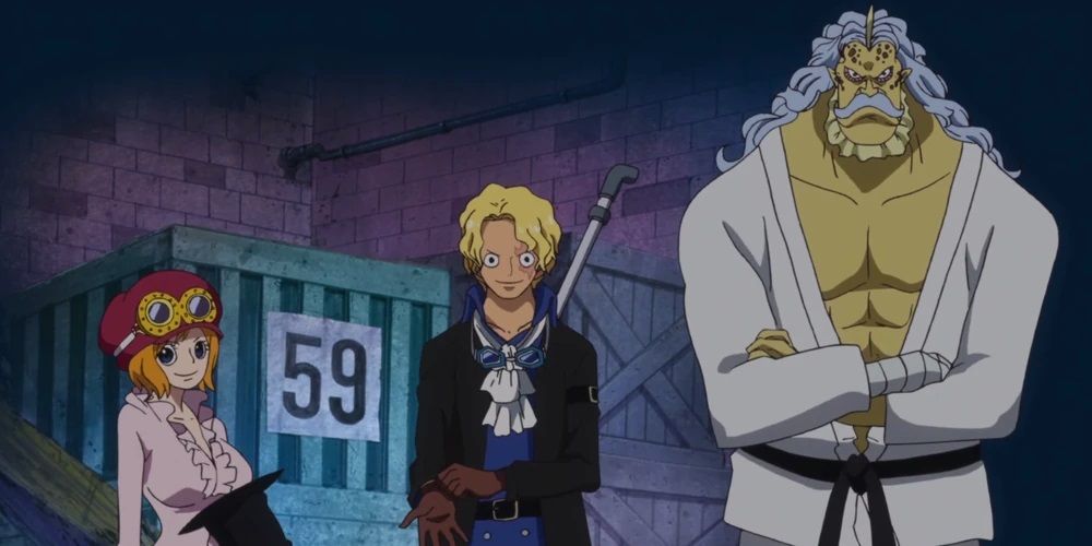 Koala Sabo and Hack reveal themselves in Dressrosa in the One Piece anime