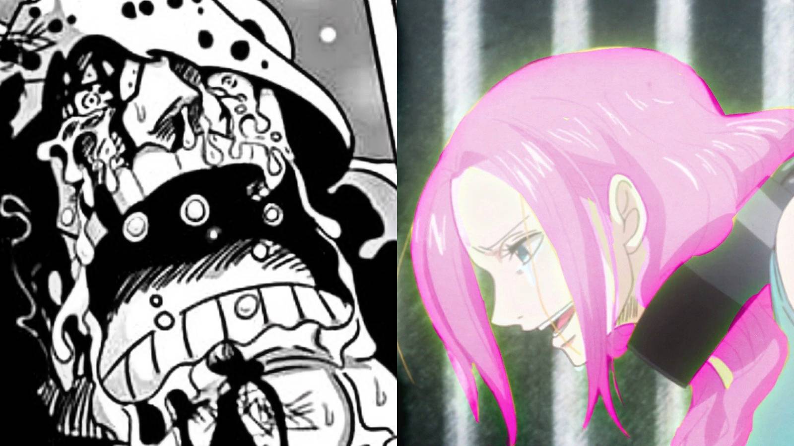 Kuma and ginny death one piece 1098