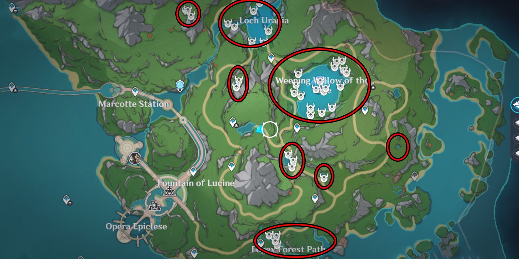 lakelight lily locations in genshin impact