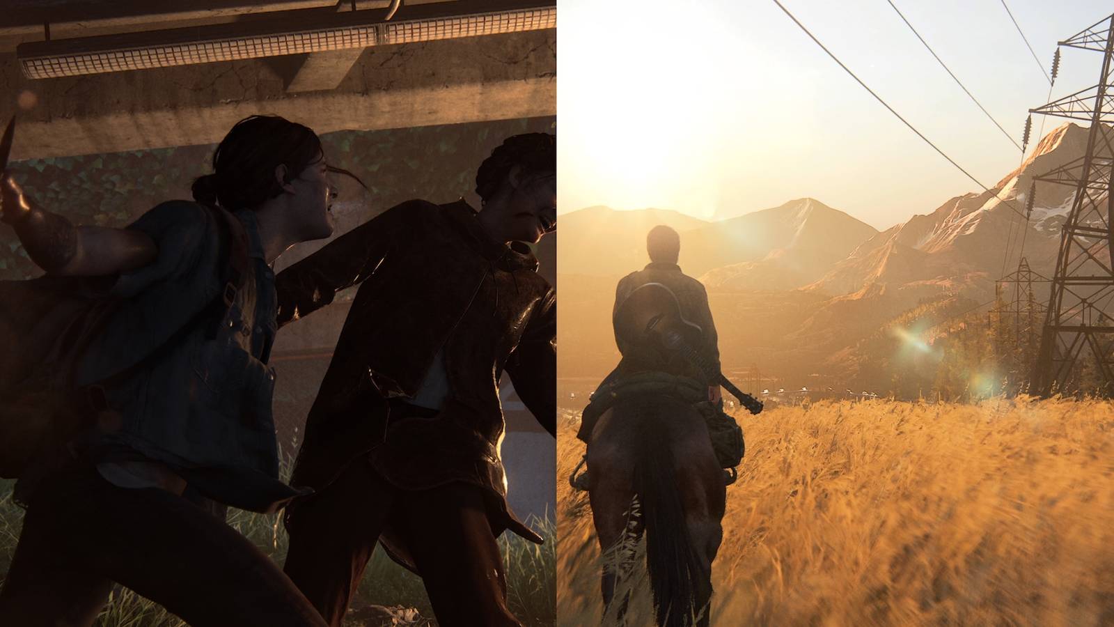 Last of us part 2 split image