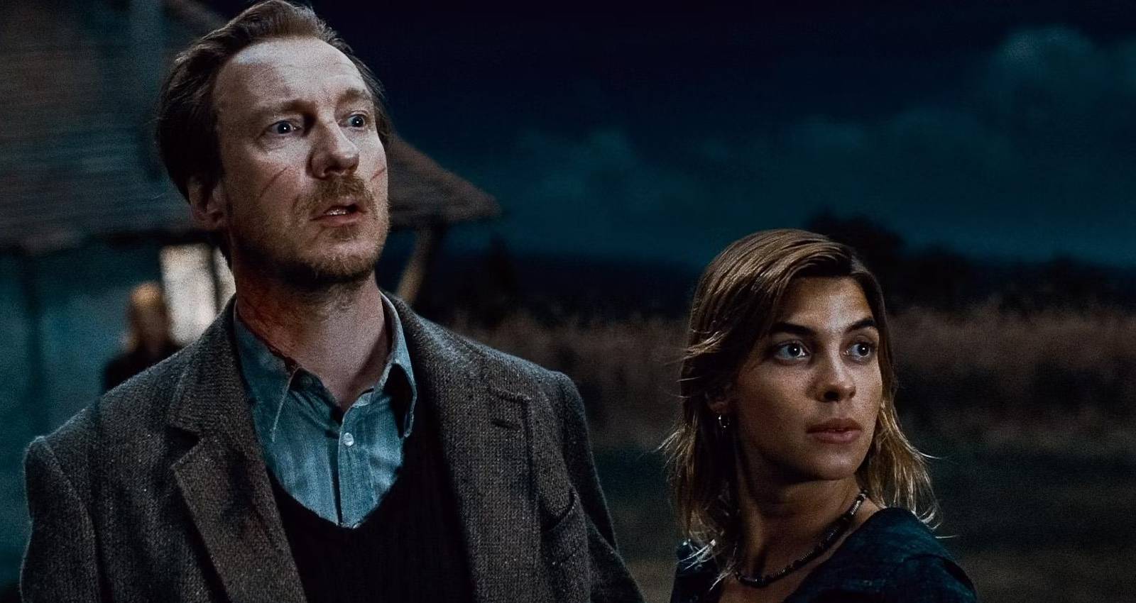 Lupin and Tonks, Harry Potter