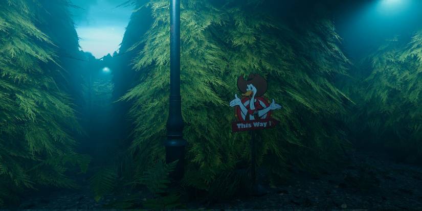 Maze in Labyrinthine