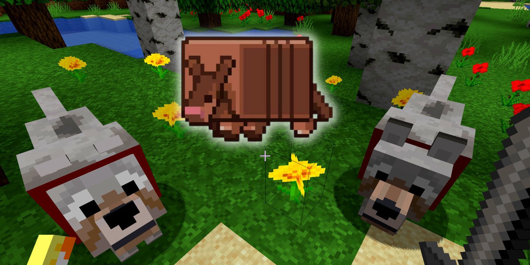 Minecraft on X: The armadillo received over 40% of the over 5