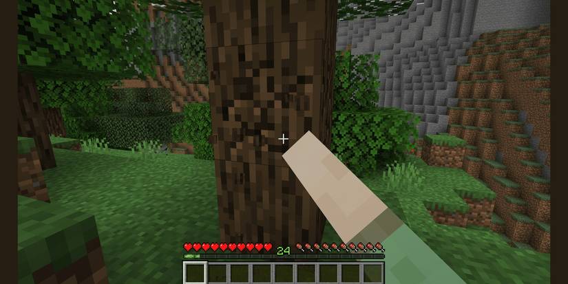 Minecraft Punch Wood