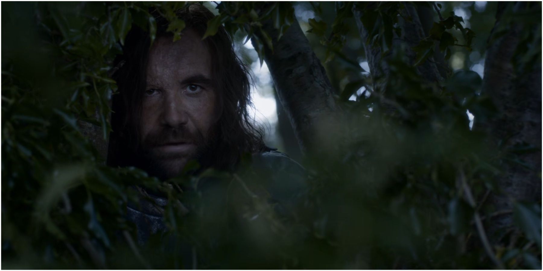 The Hound peeking through bushes in Game of Thrones.