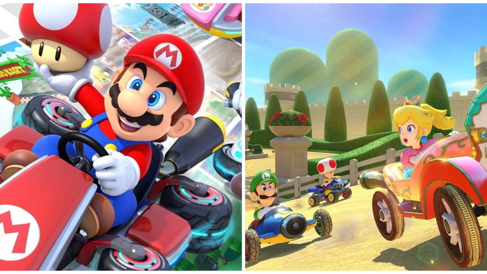 MK 8 feature