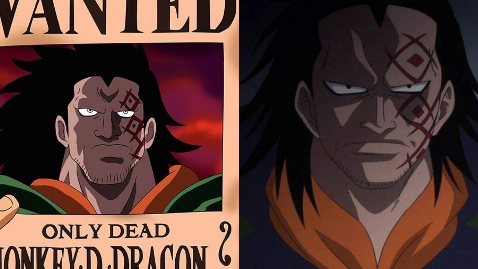 Monkey d dragon bounty one piece