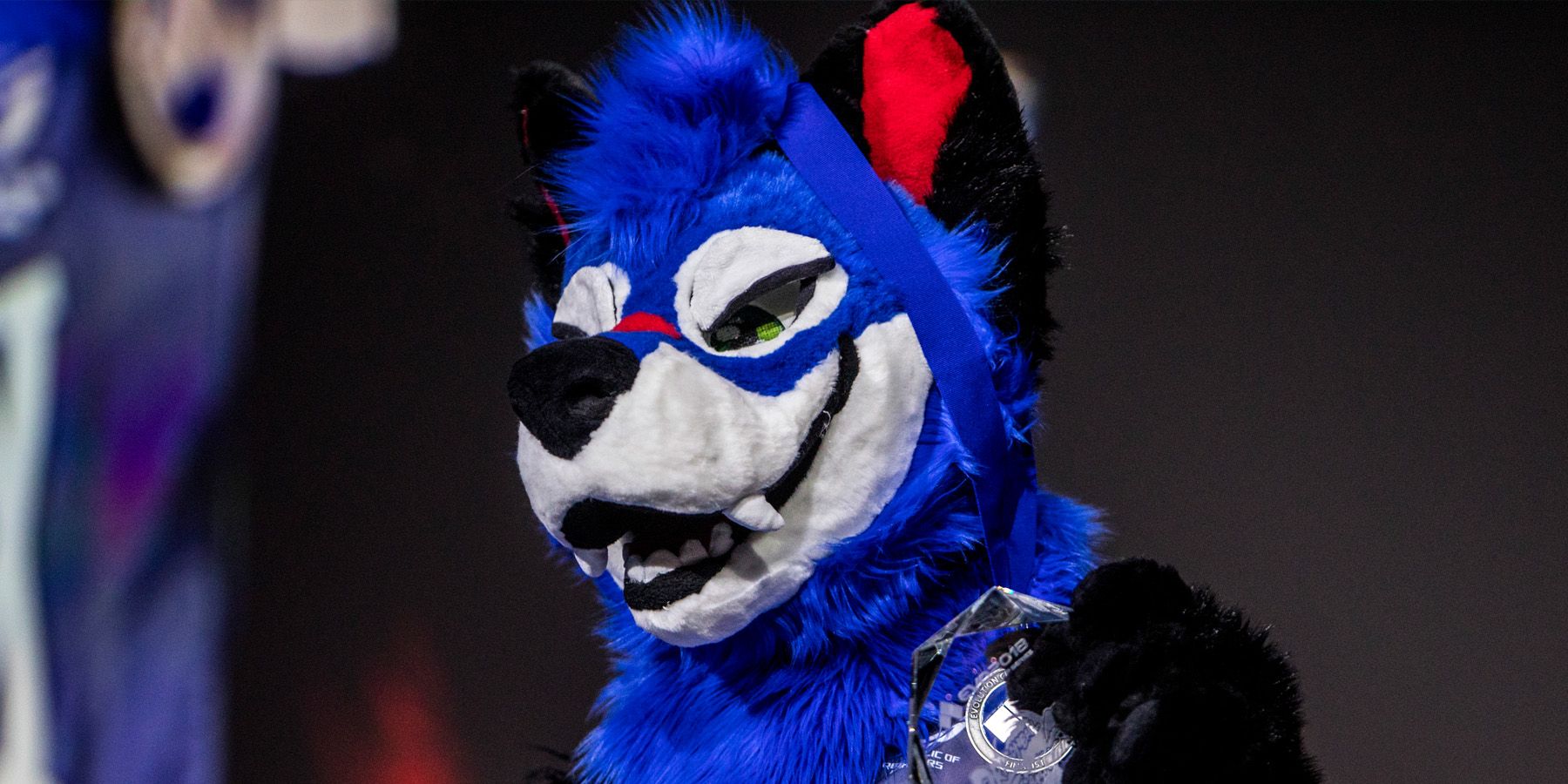 A photo of SonicFox standing on stage while dressed as their blue-and-white fox fursonia.