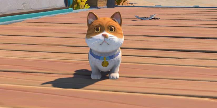 my time at sandrock banjo