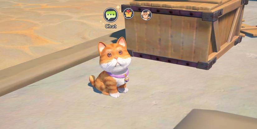 my time at sandrock macchiato 