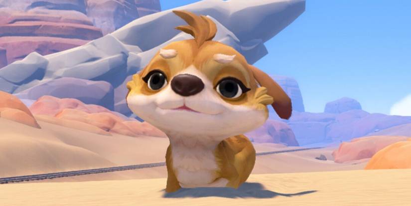 my time at sandrock meerkat