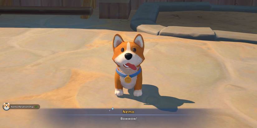 my time at sandrock nemo