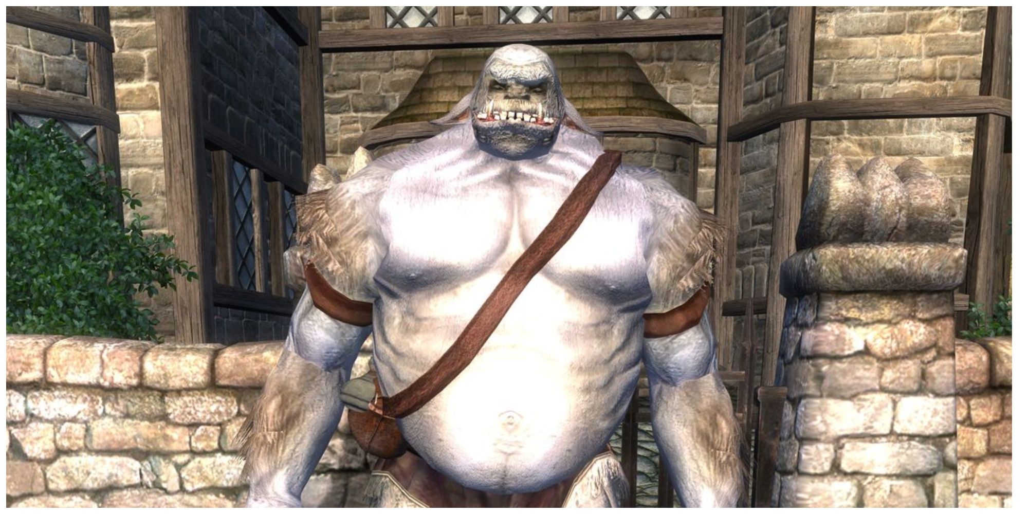 Oblivion Ogre