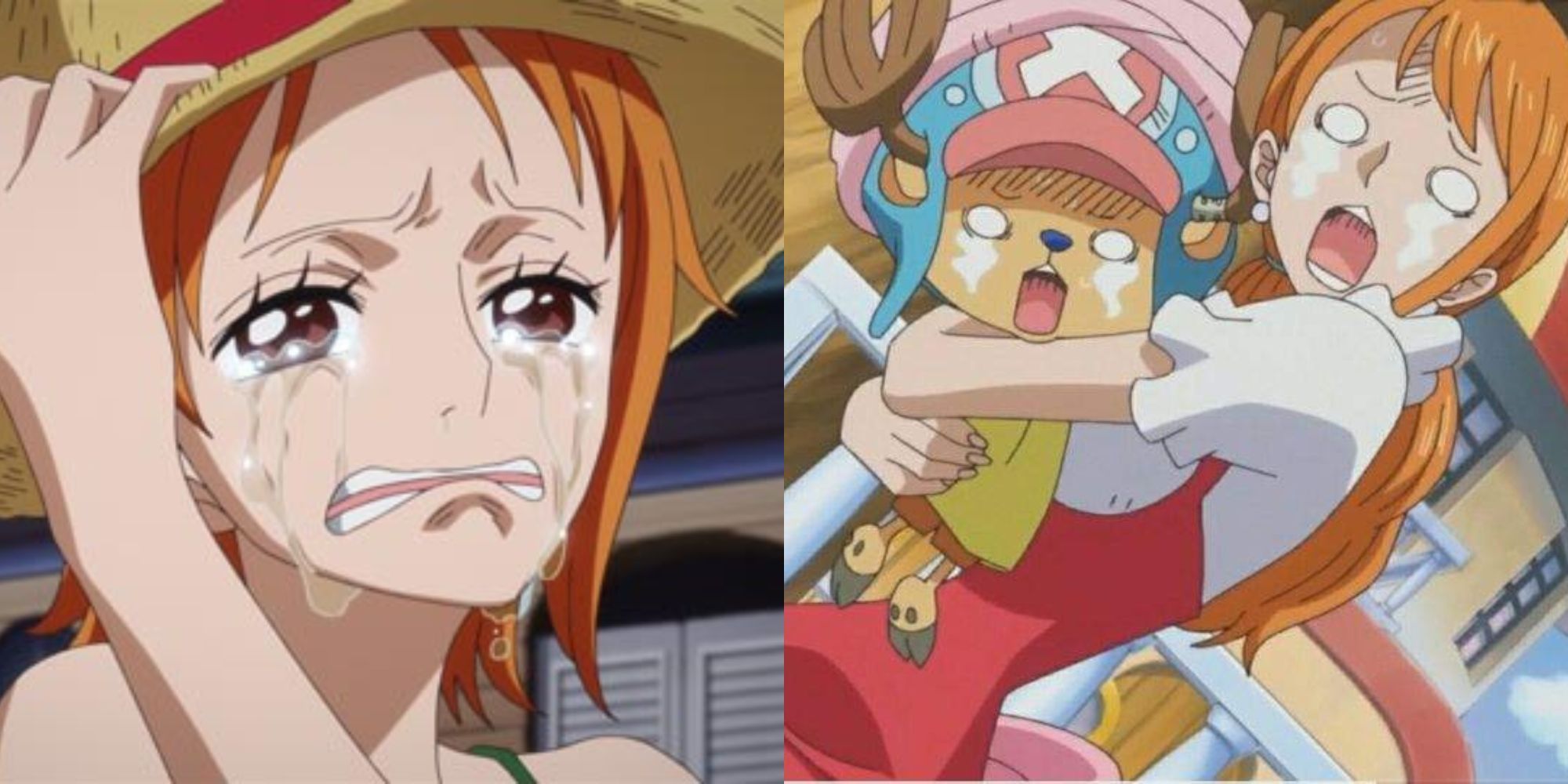 One Piece: Nami asks Luffy's help at Cocoyashi Village 