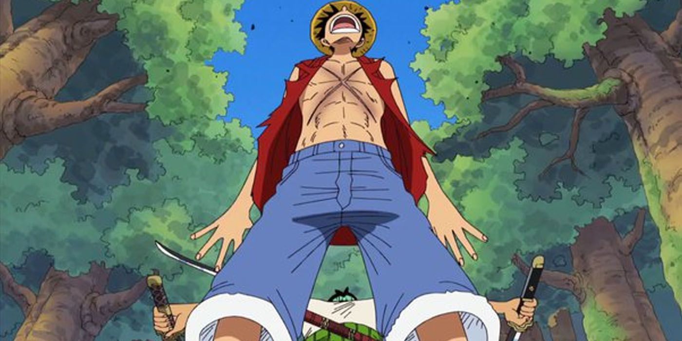 How Did Luffy Get The X On His Chest