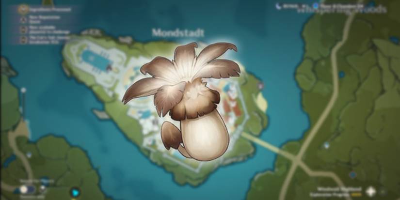 philanemo mushrooms location in genshin impact