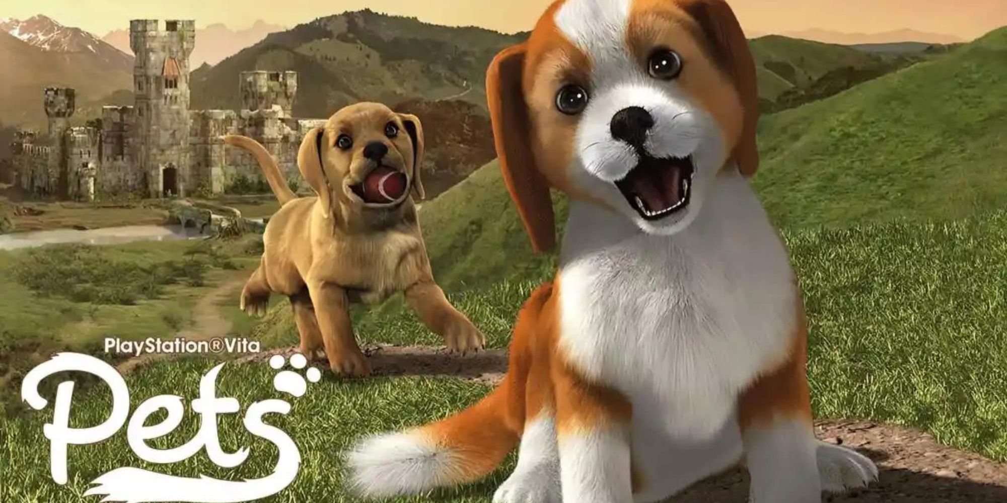 The cover image of PS Vita Pets