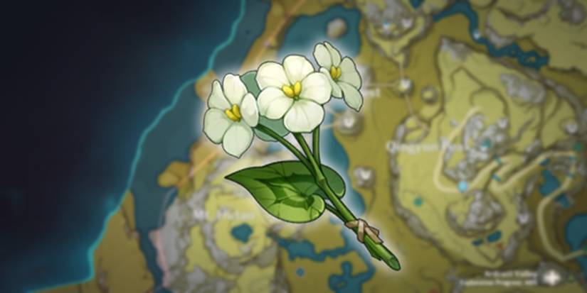 qingxin flowers location in genshin impact
