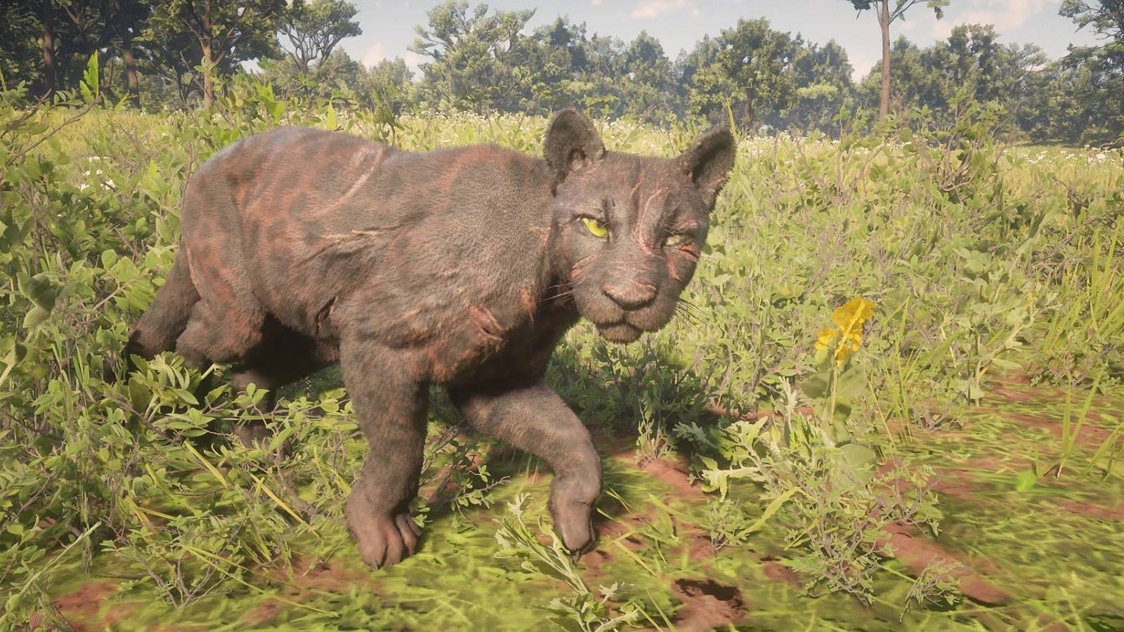 red-dead-redemption-2-panther-feature