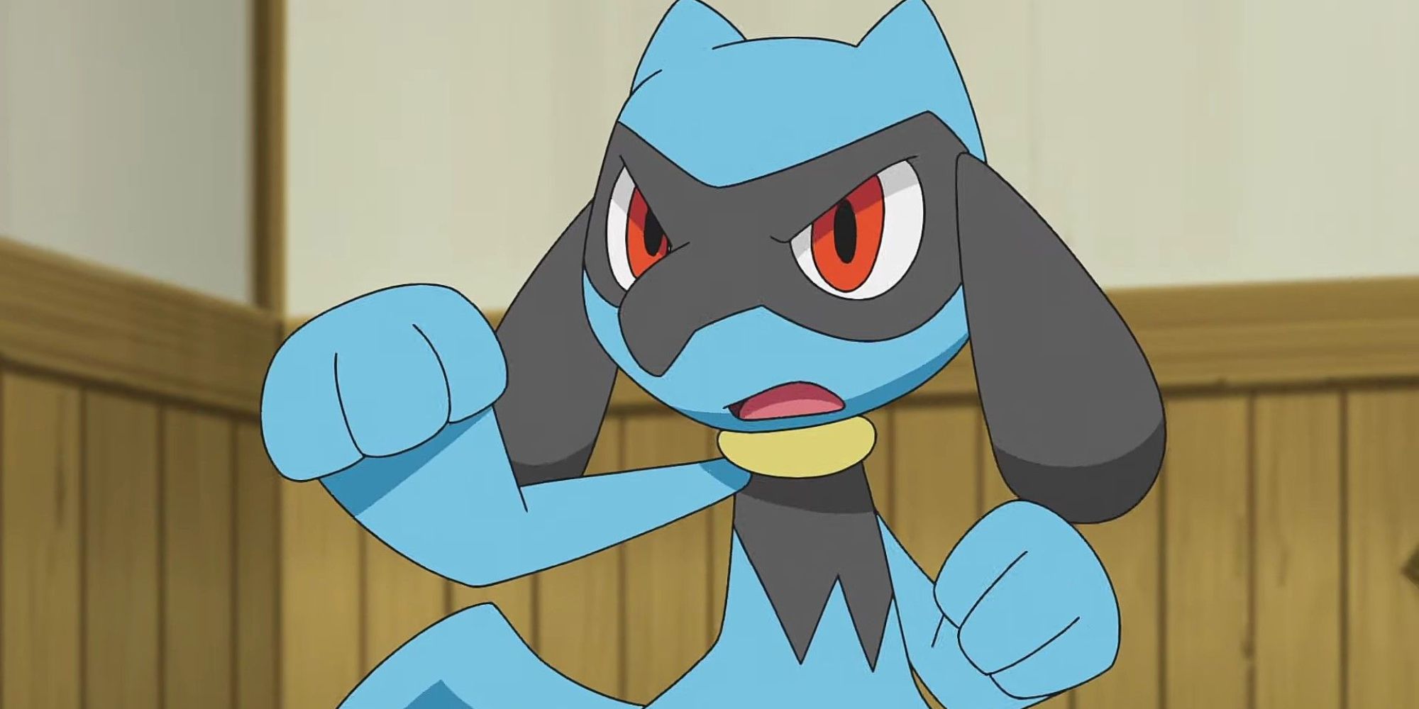 Riolu ready to fight in the anime