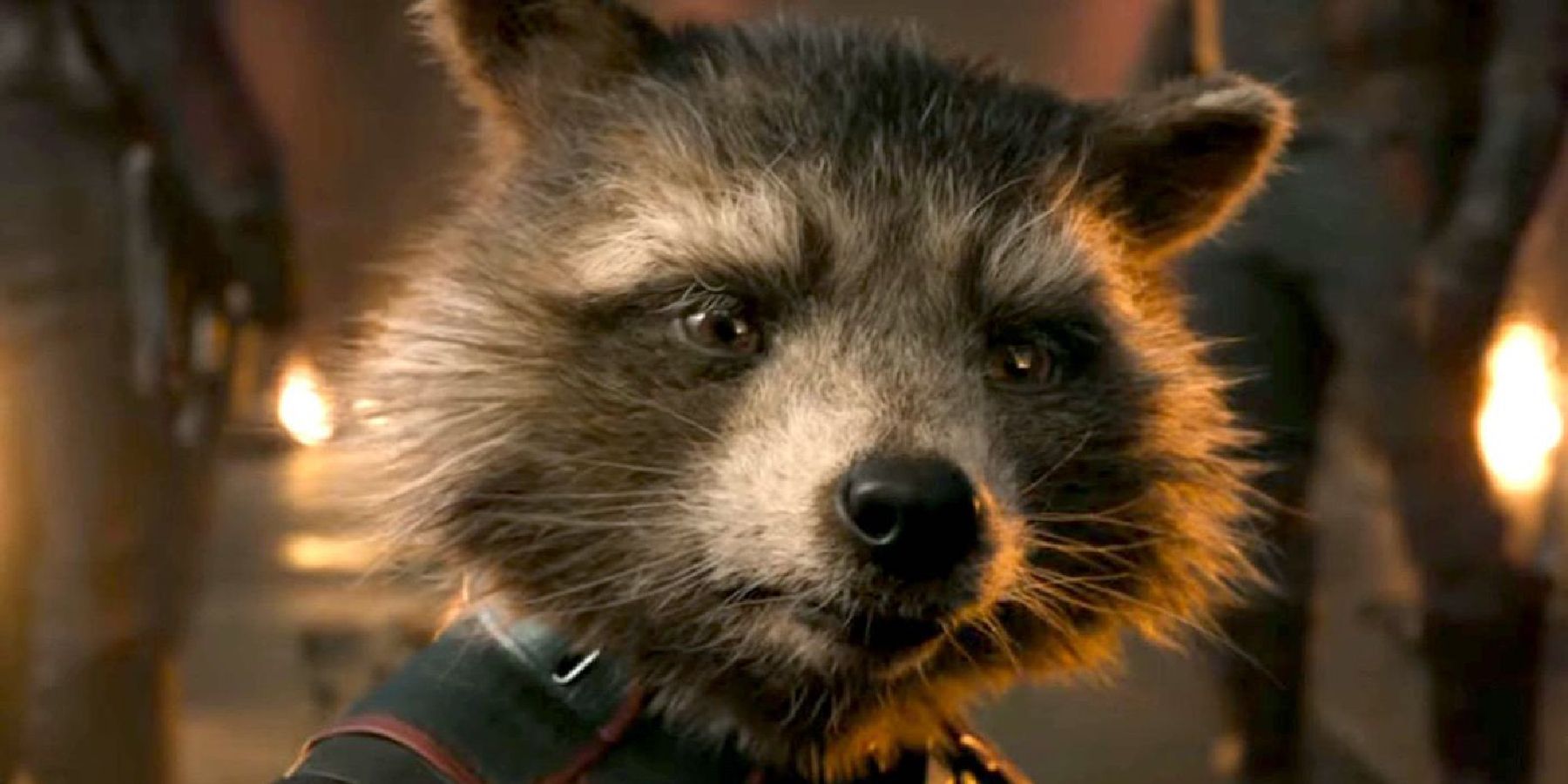 Rocket Racoon