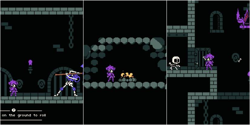 Ruin Valley, Purple Protagonist Battles Skeletons And Bats In Dungeon