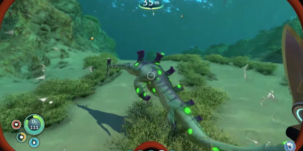 Player chasing an eel through the sea 