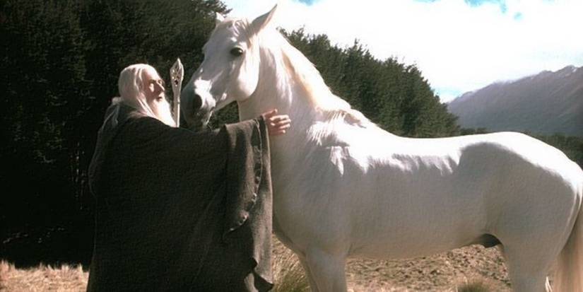 Shadowfax in Lord of the Rings