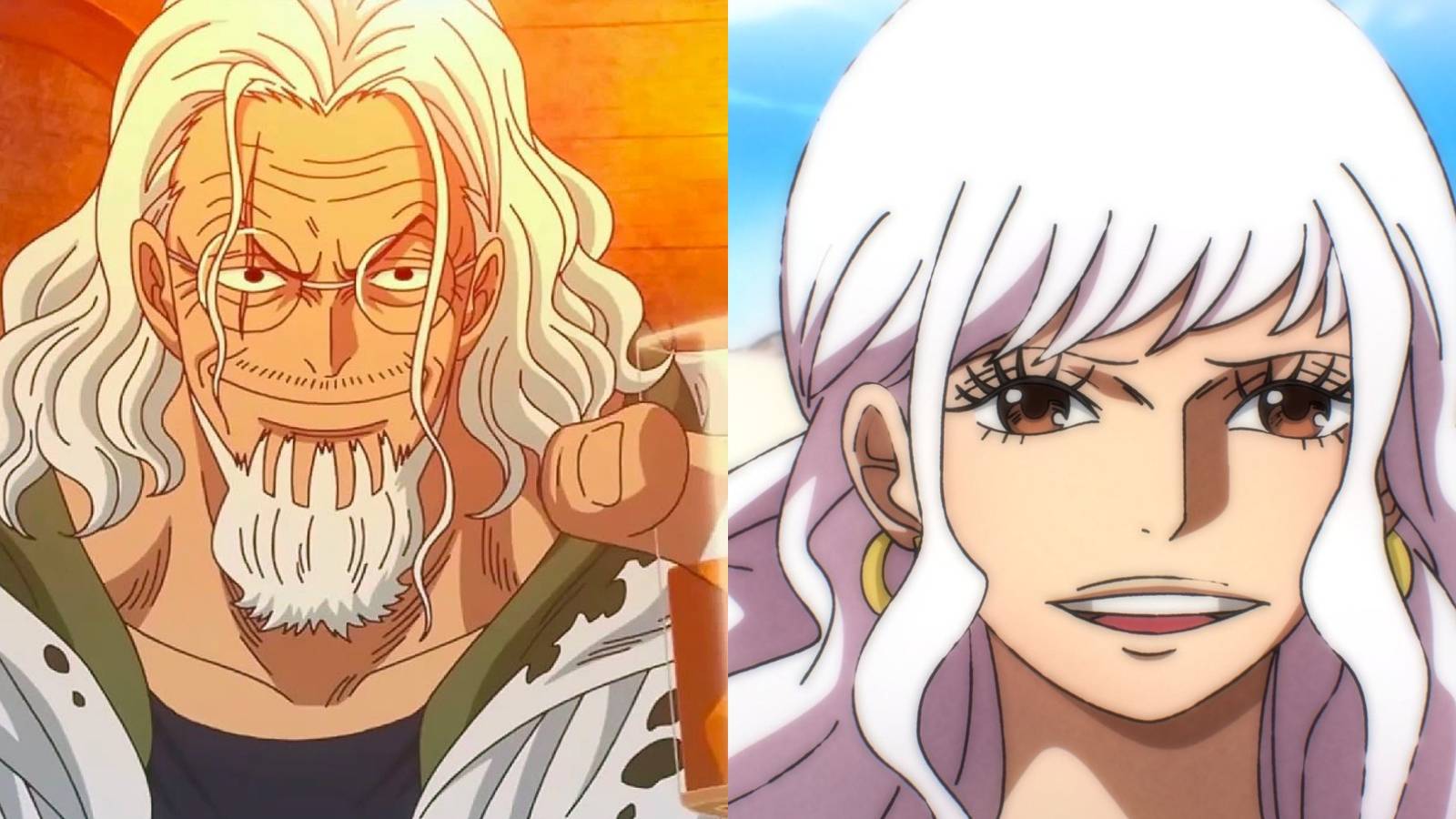 silvers Rayleigh gloriosa one piece