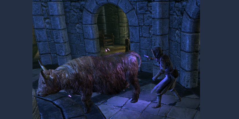 skyrim college of winterhold Brelyna cow