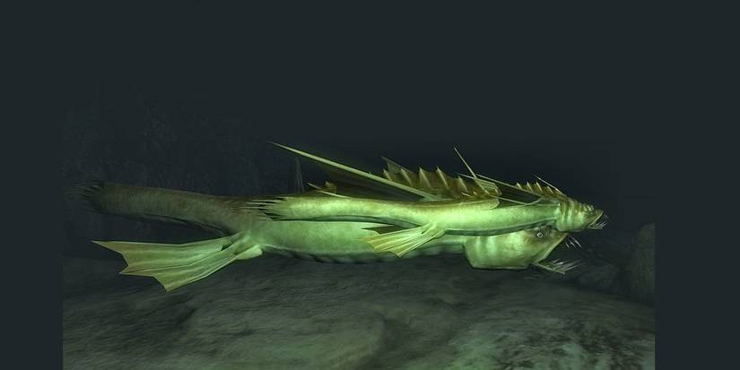 Slaughterfish  oblivion