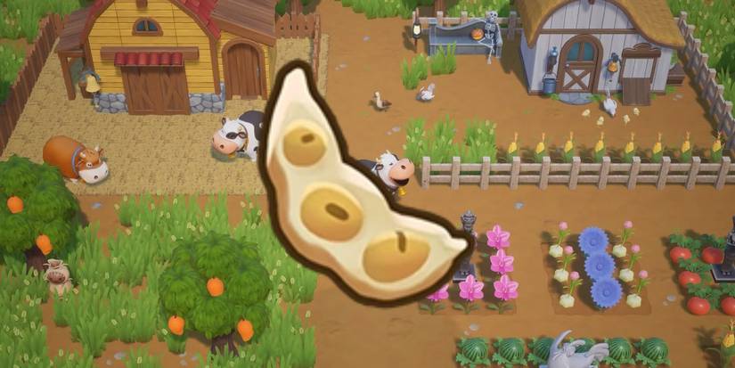 Soybean on a farm background in Coral Island