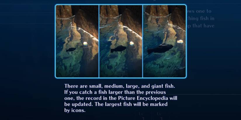 Star-Ocean-The-Second-Story-R-How-To-Fish