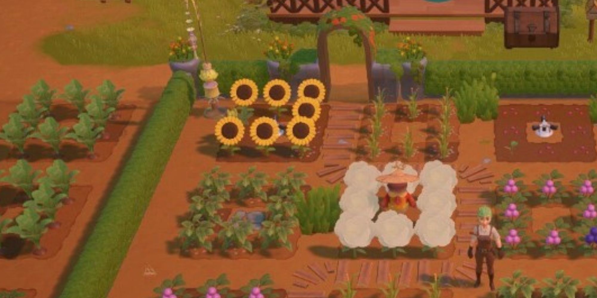A player's farm with a Sunflower in Coral Island