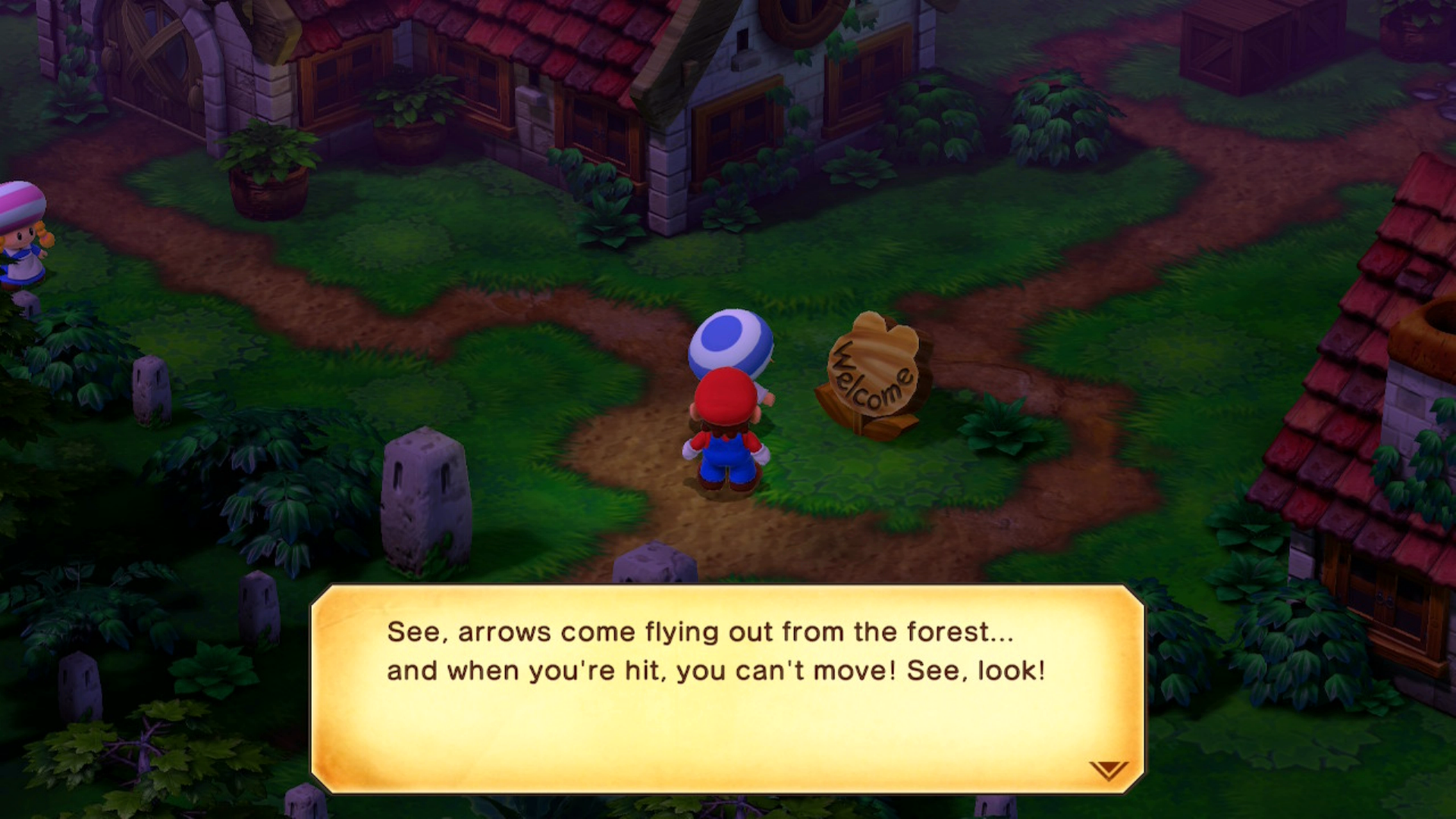 Super Mario RPG Forest Maze Arrows in Rose Town