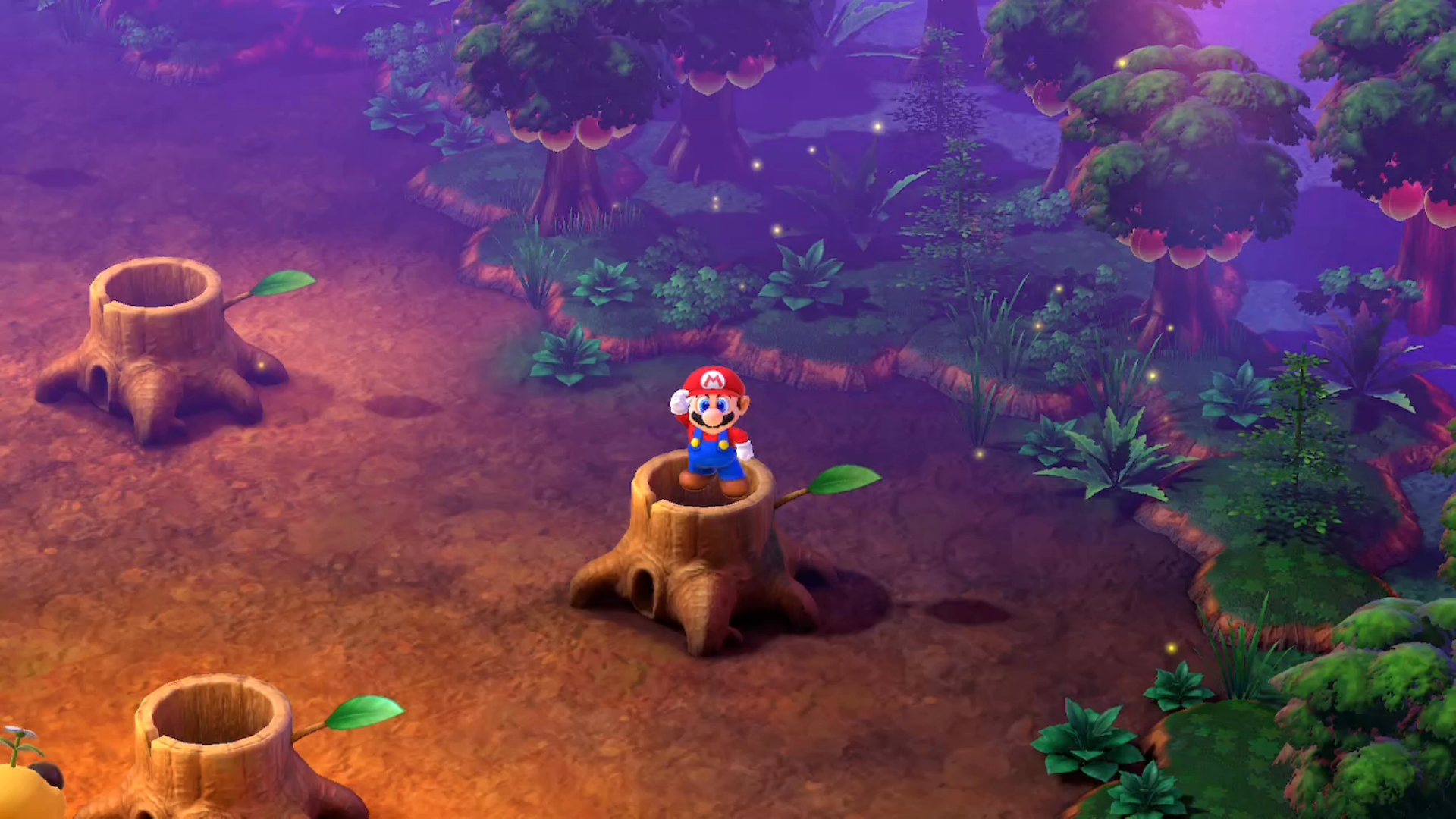 Super Mario RPG Forest Maze Hidden Treasure #3