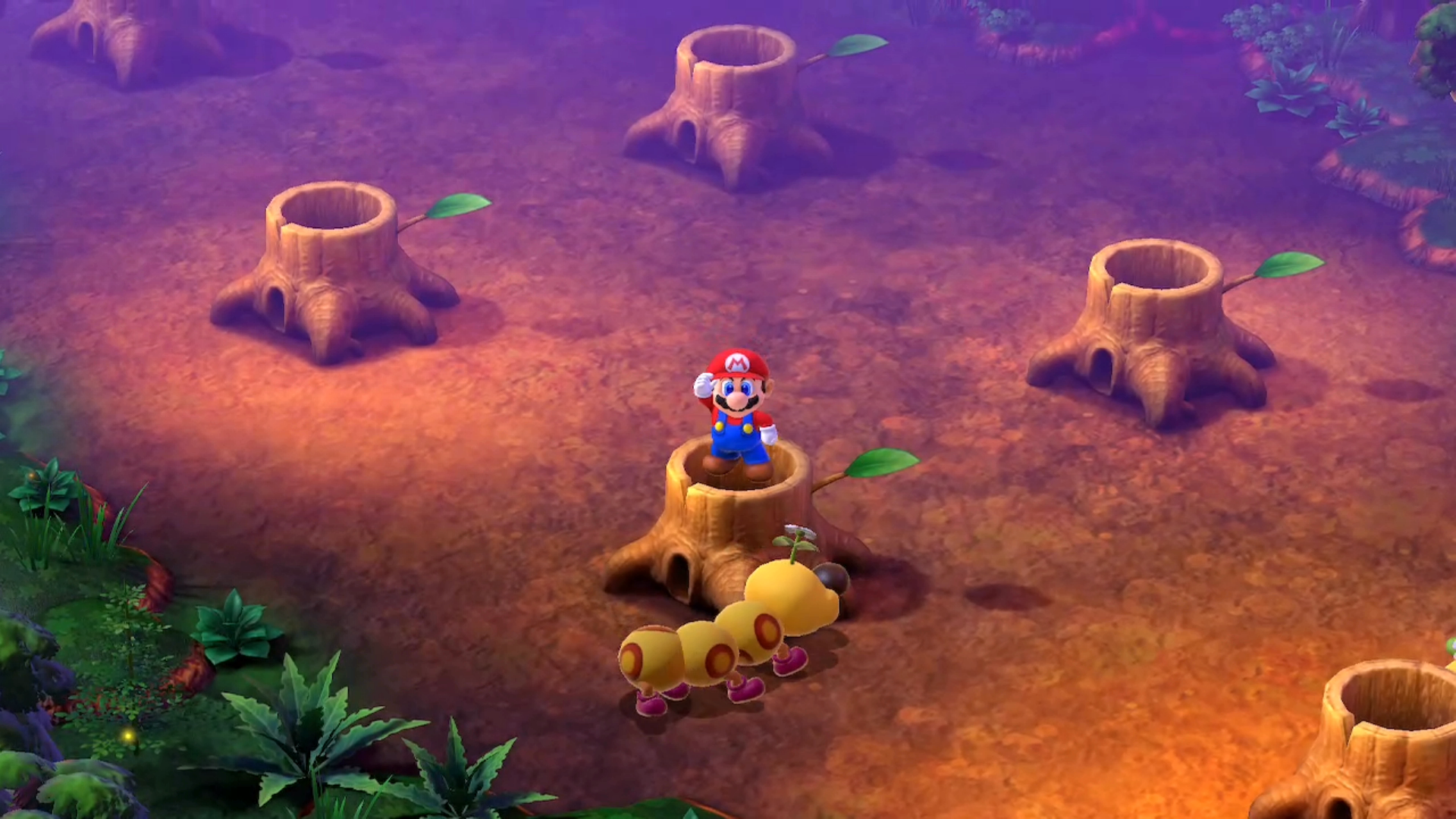Super Mario RPG Forest Maze Hidden Treasure #4