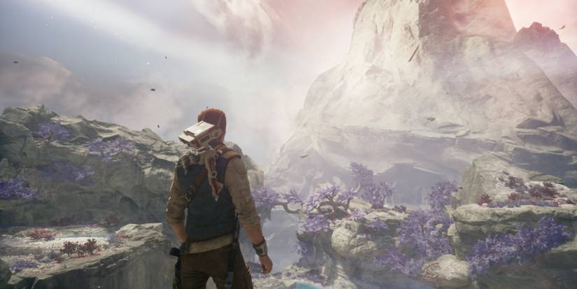 Cal overlooking a scenic view of Tanalorr